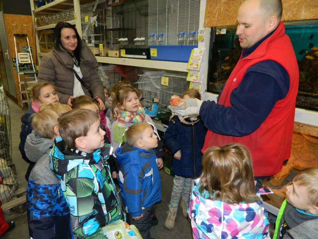 Wizyta przedszkolaków w mini zoo