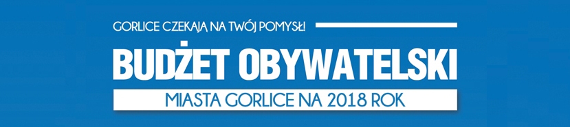 Gorliczanie złożyli 40 projektów do Budżetu Obywatelskiego