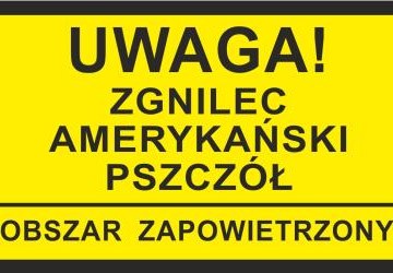 Zgnilec amerykański pszczół – choroba zakaźna pszczół – obszar zapowietrzony na terenie Miasta Gorlice