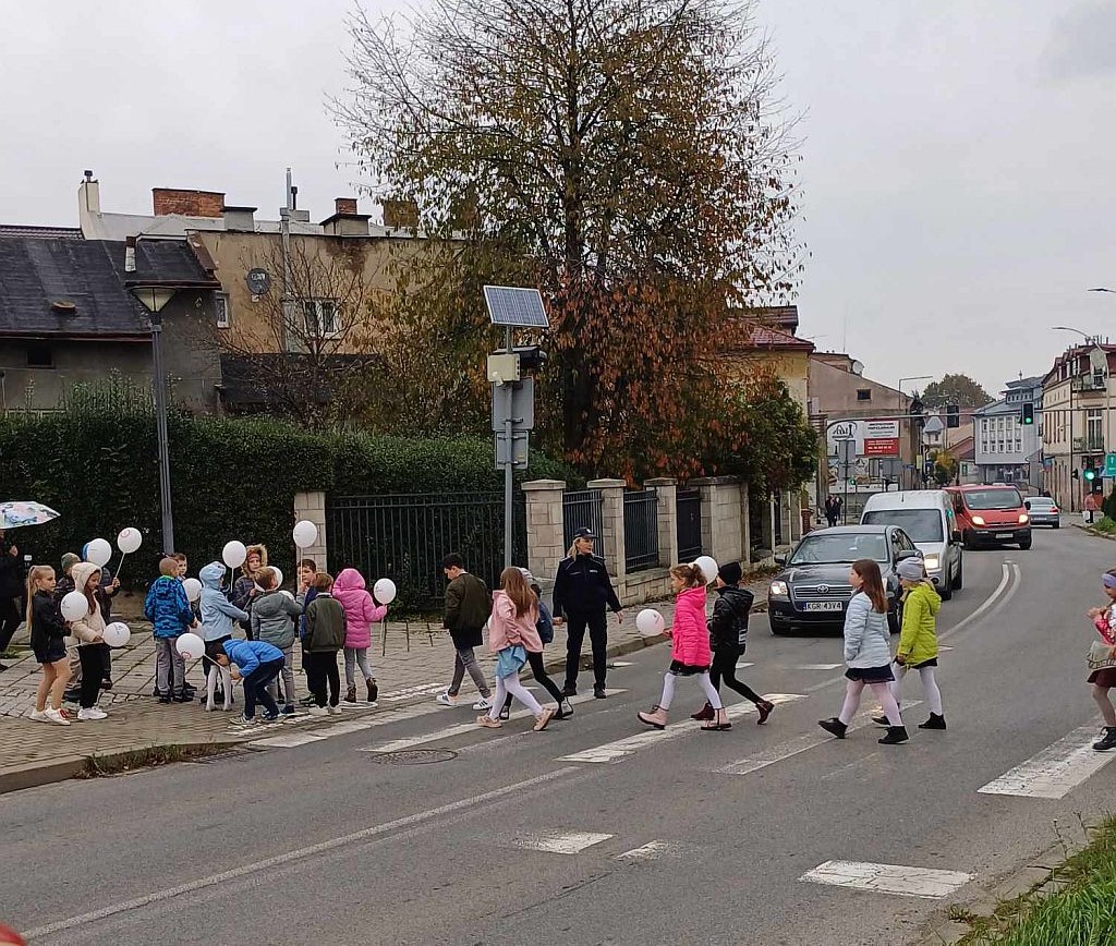 „No promil – No problem” w Miejskim Zespole Szkół nr 5