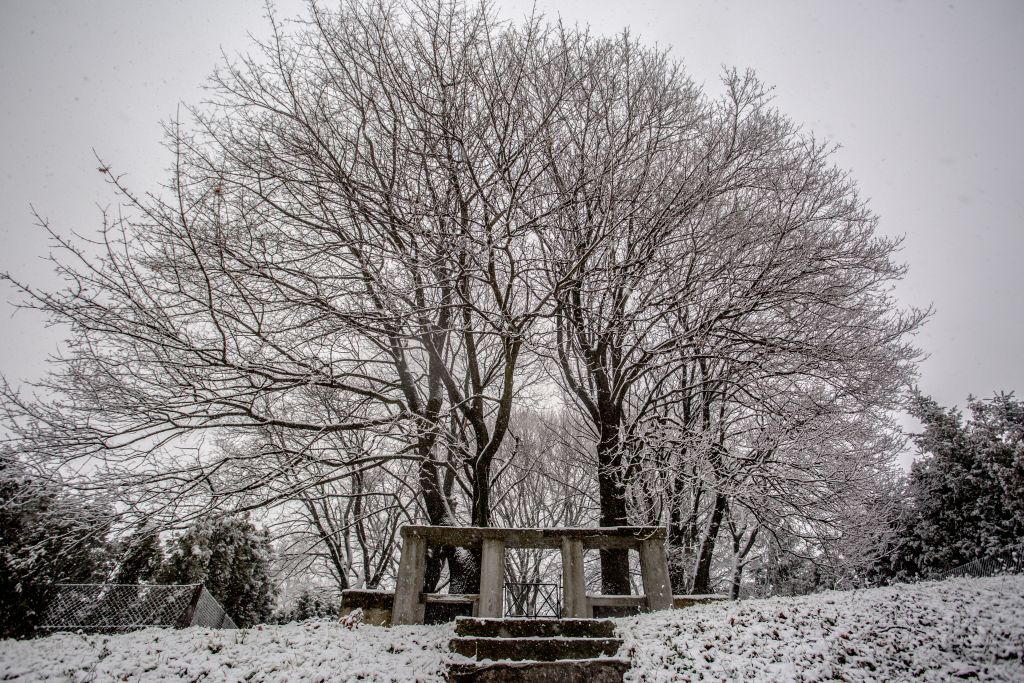  Widok na bramę Cmentarza z I Wojny Światowej nr 87.