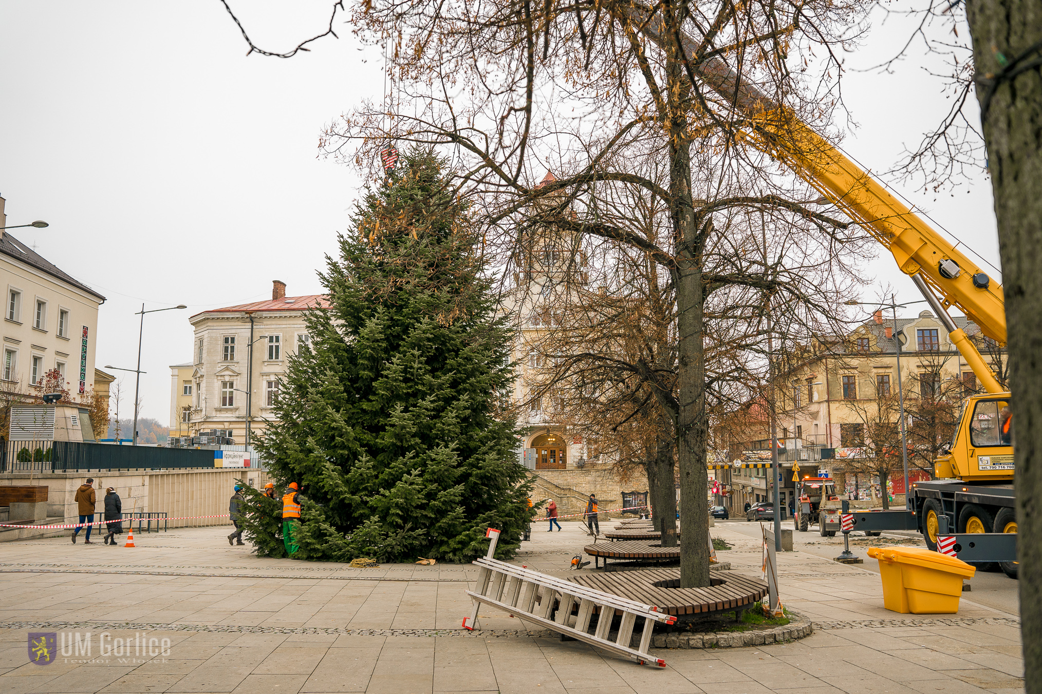 Choinka na gorlickim Rynku