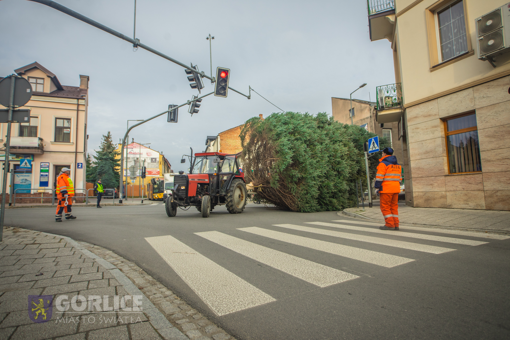 Transport drzewko pna Rynek 