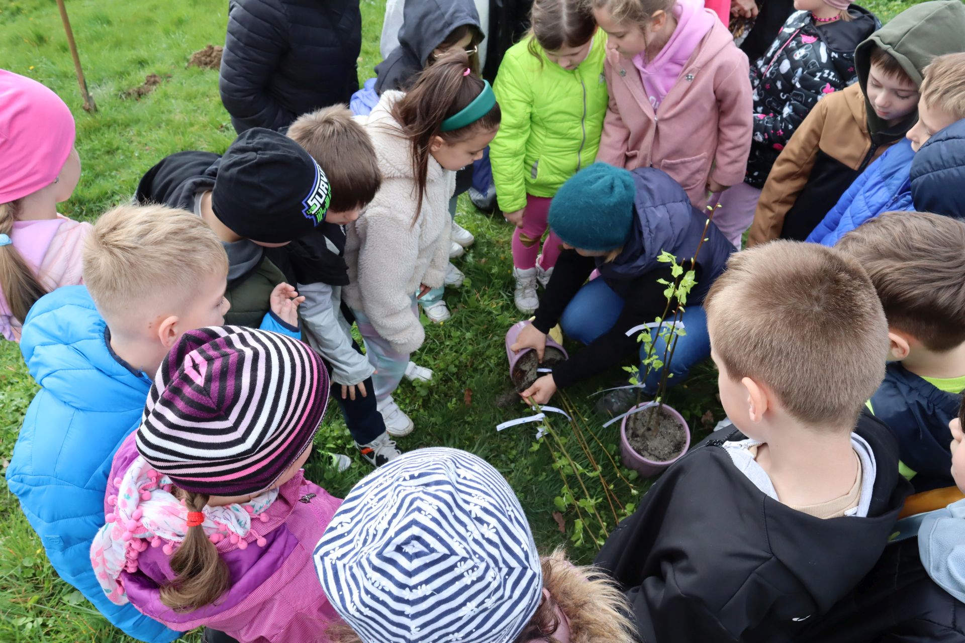 Dzieci z gorlickich szkół podczas akcji sadzenia drzew w czasie "Gorlickich Dni dla Klimatu"