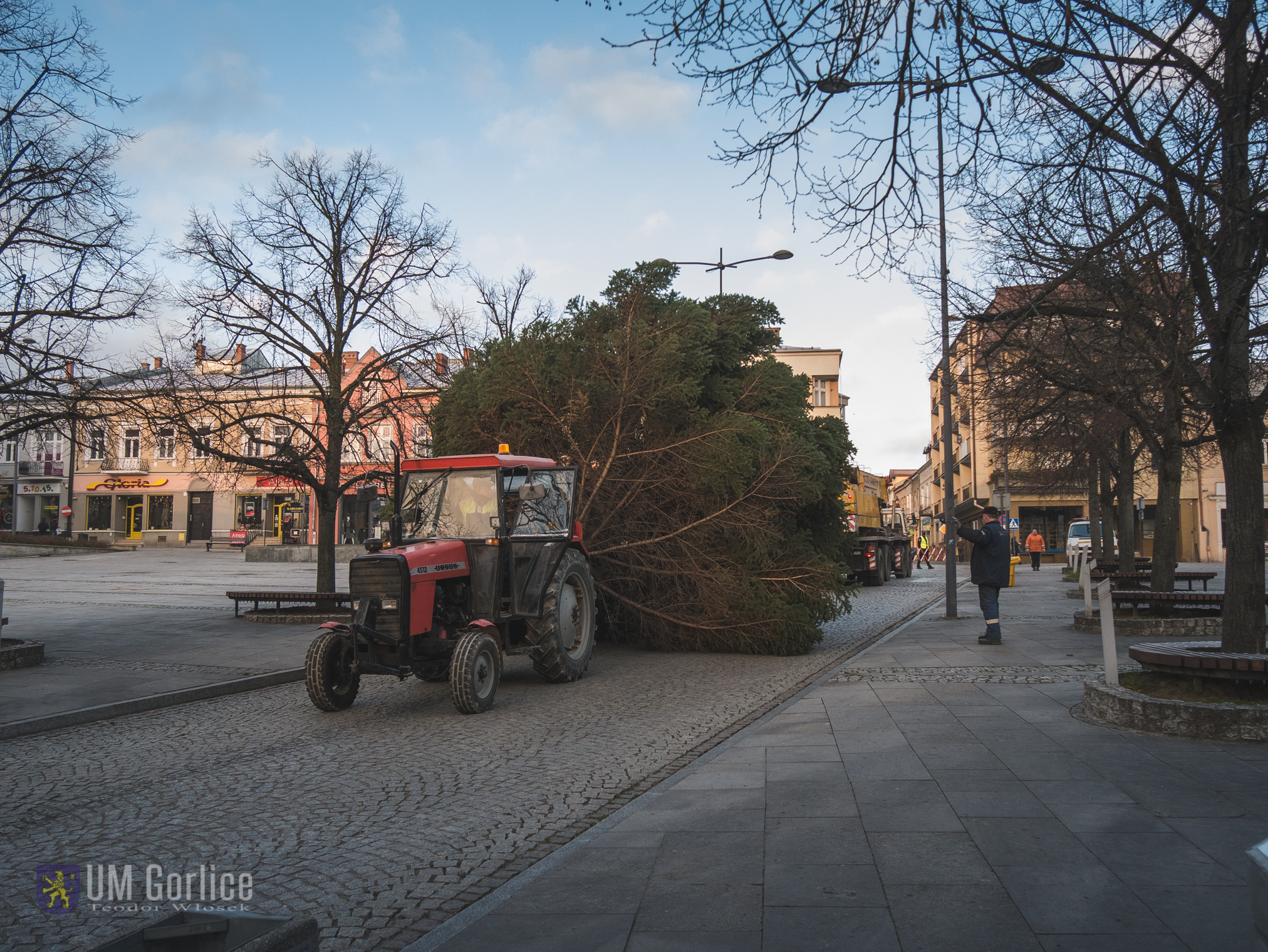 Montaż choinki na gorlickim Rynku