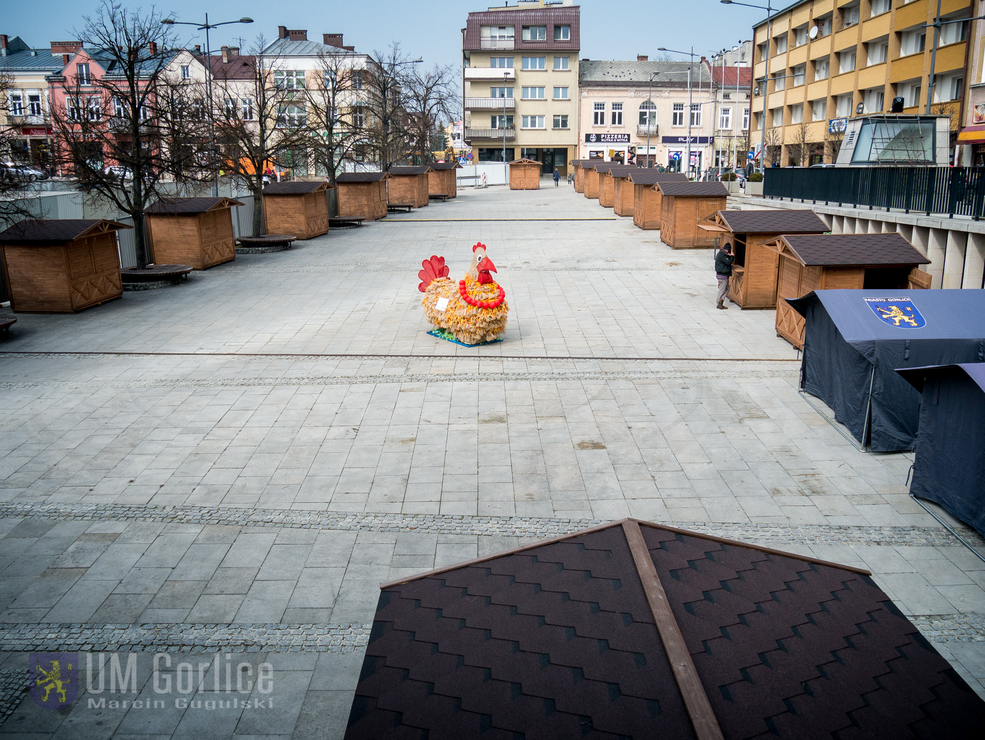 Widok na kurę z Ratusza