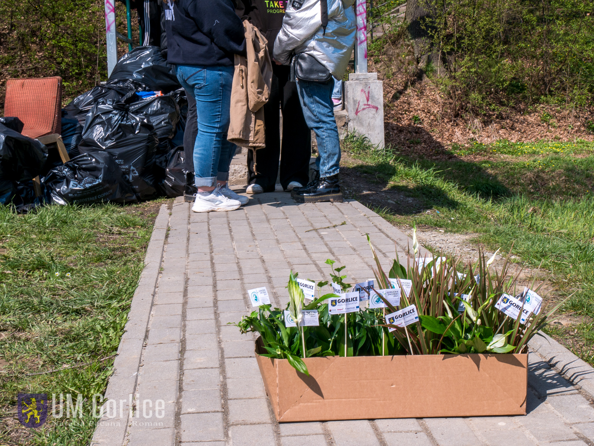 Rosliny - nagrody za udział w akcji sprzątania