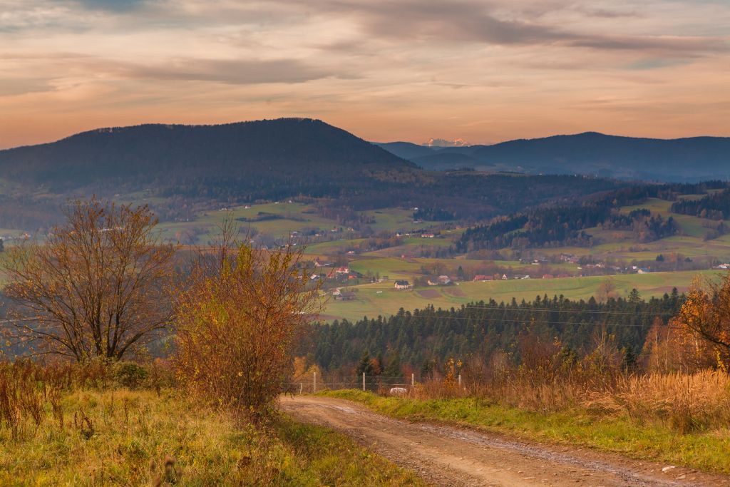 Widok na pasmo Beskidu Niskiego.