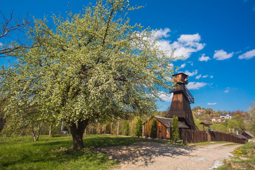 Widok na skansen przemysłu naftowego  MAGDALENA.