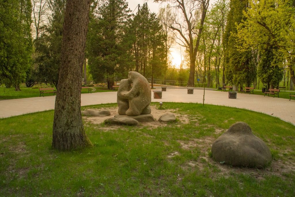 Widok na Park Miejski im. Wojciecha Biechońskiego.