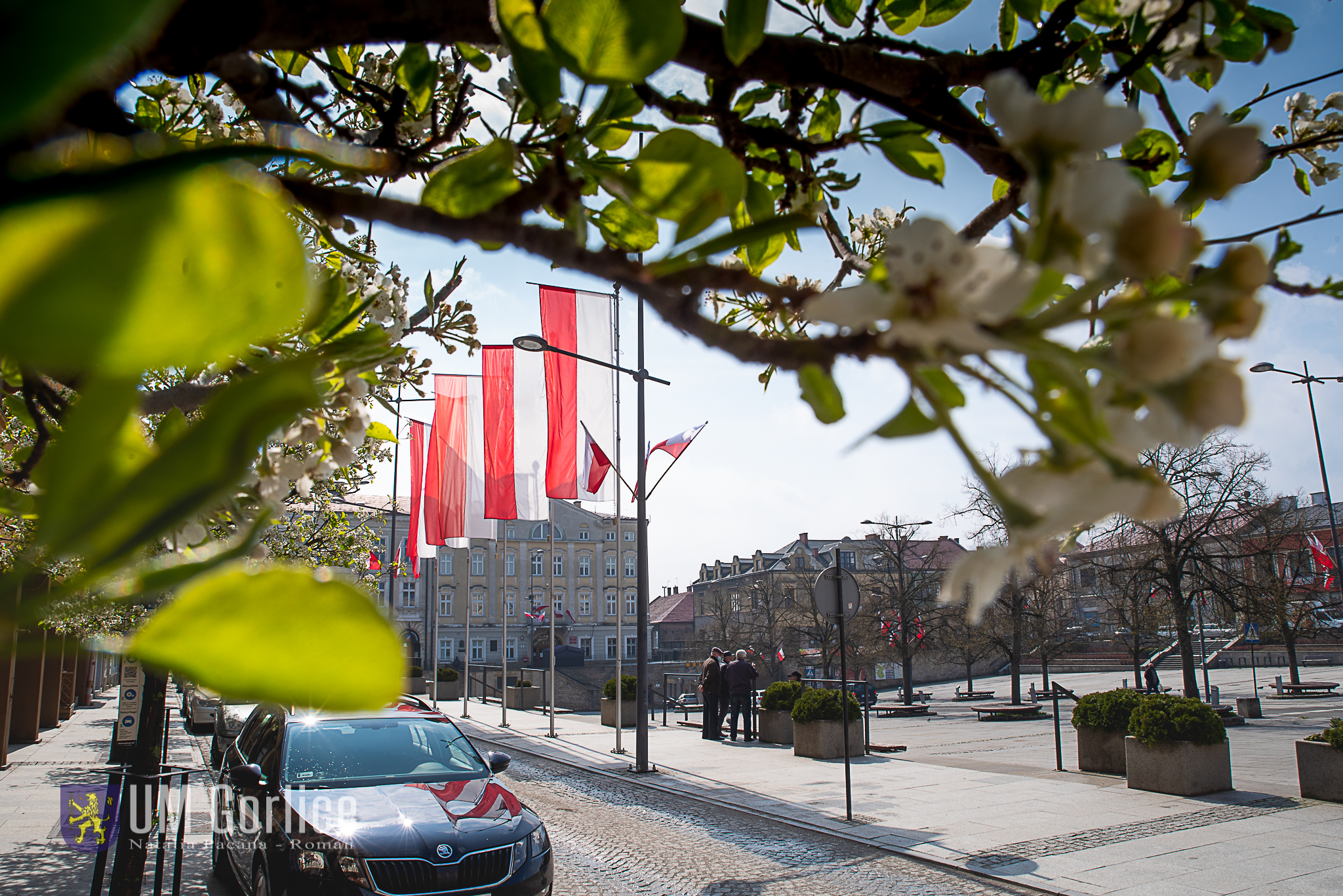 Rynek w gorlicach udekorowany polskimi flagami