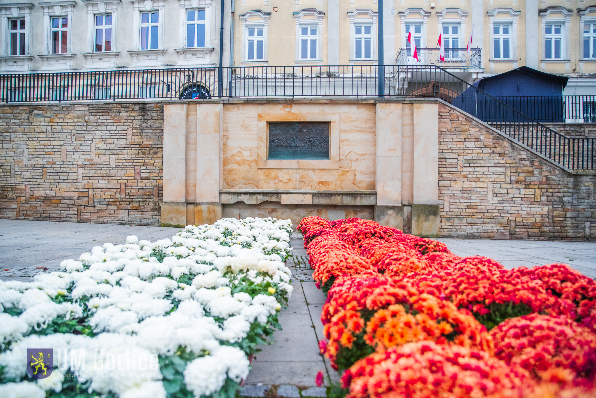 Rynek w Gorlicach - biało-czerwona kompozycja z kwiatów