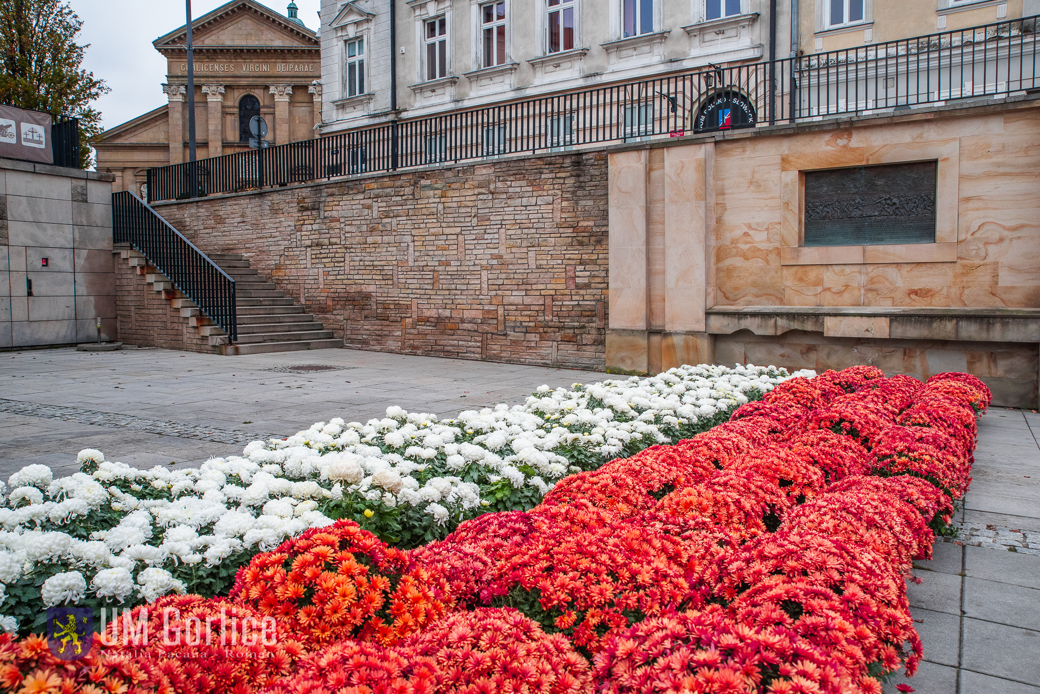 Rynek w Gorlicach - biało-czerwona kompozycja z kwiatów