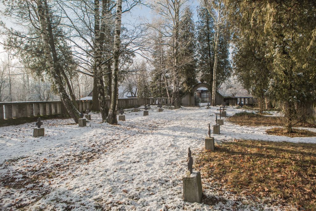 Widok na Cmentarz z I Wojny Światowej nr 98.