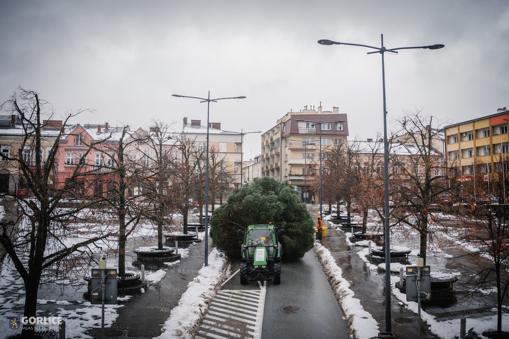 Choinka na gorlickim RYnku.