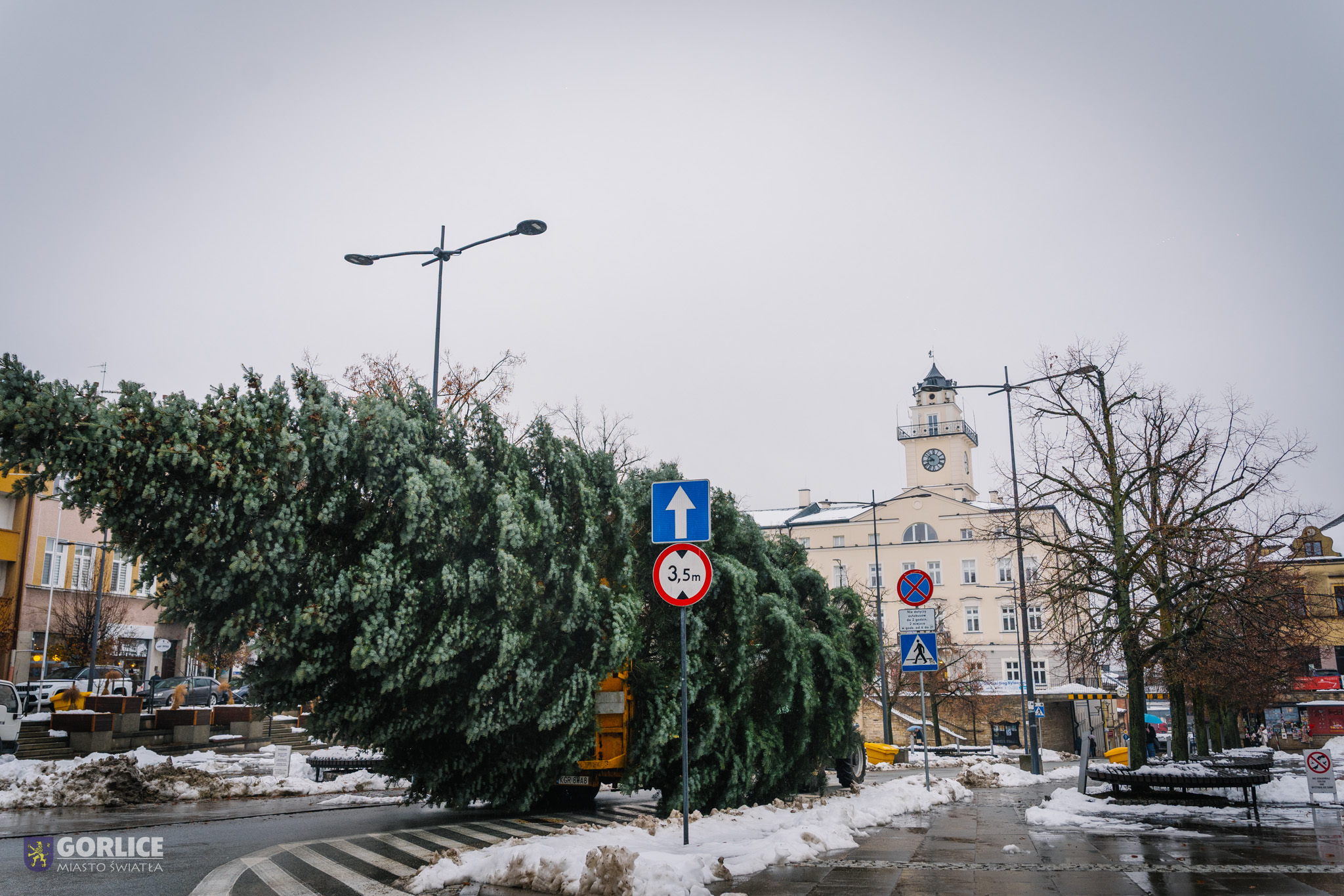Choinka na gorlickim RYnku.