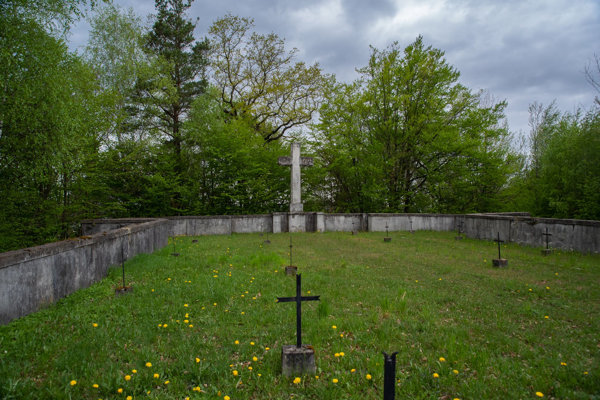 Widok na Cmentarz z I Wojny Światowej nr 88.