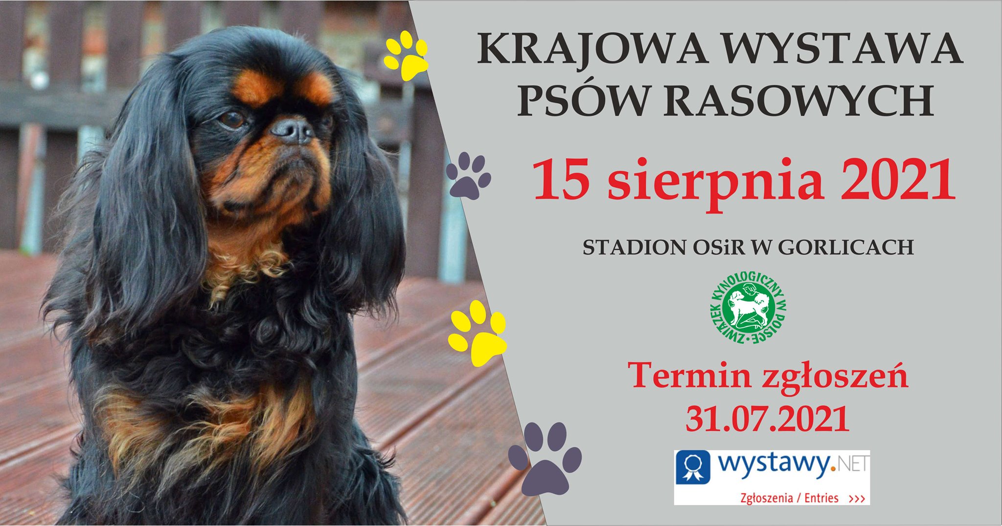 Baner informacyjny - krajowa wystawa psów