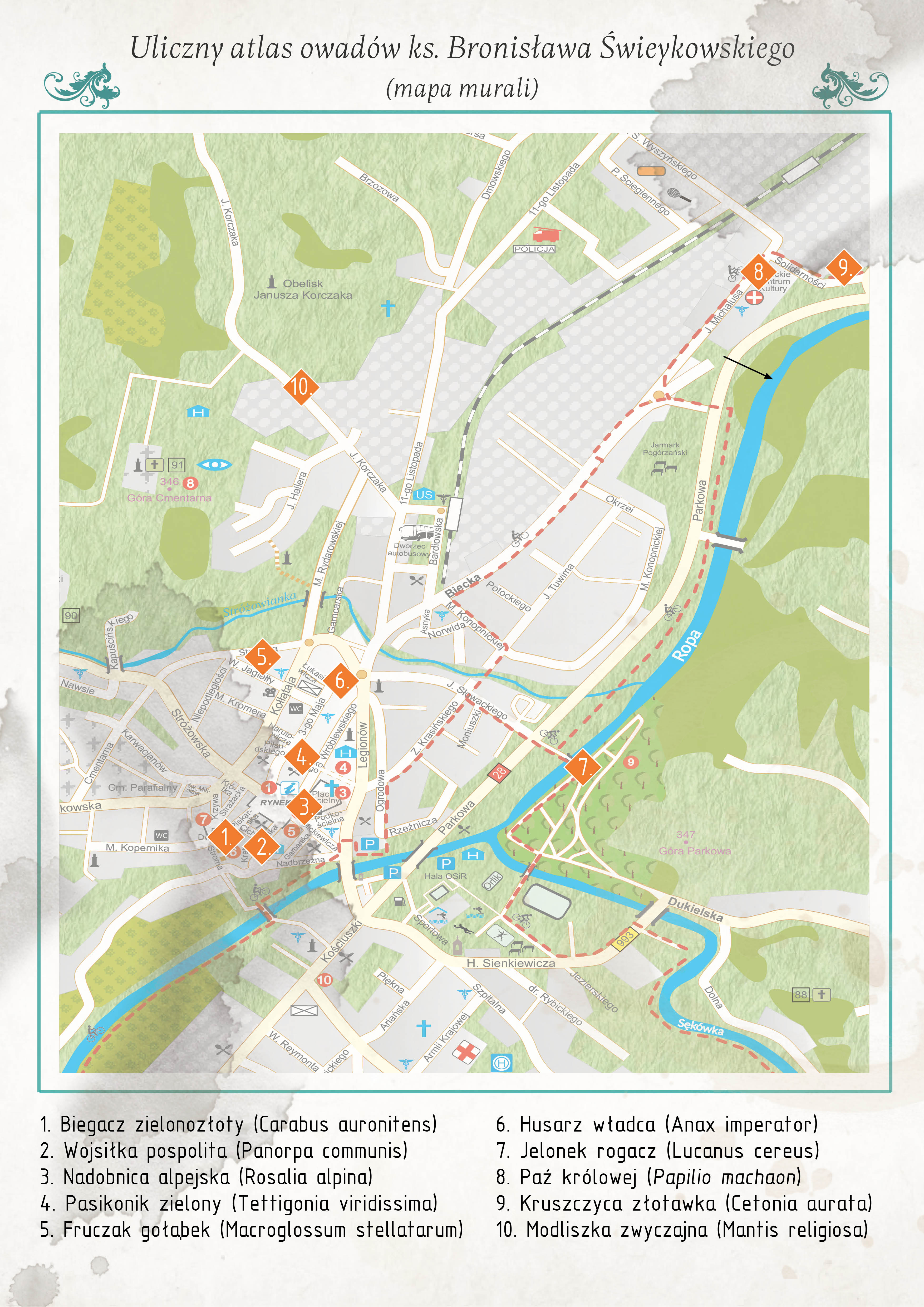 Mapa owadów