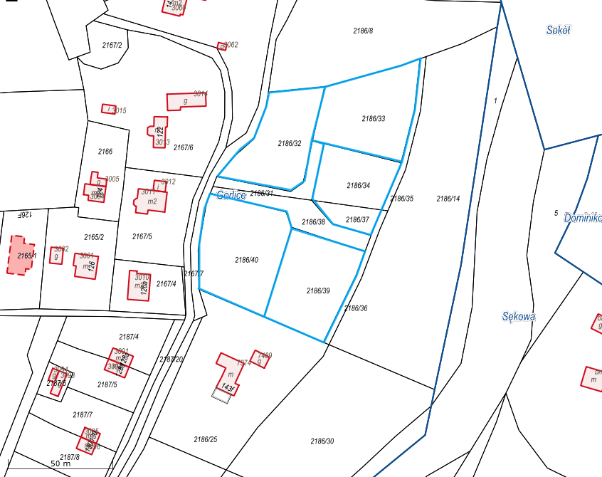 Mapa działek ewidencyjnych.