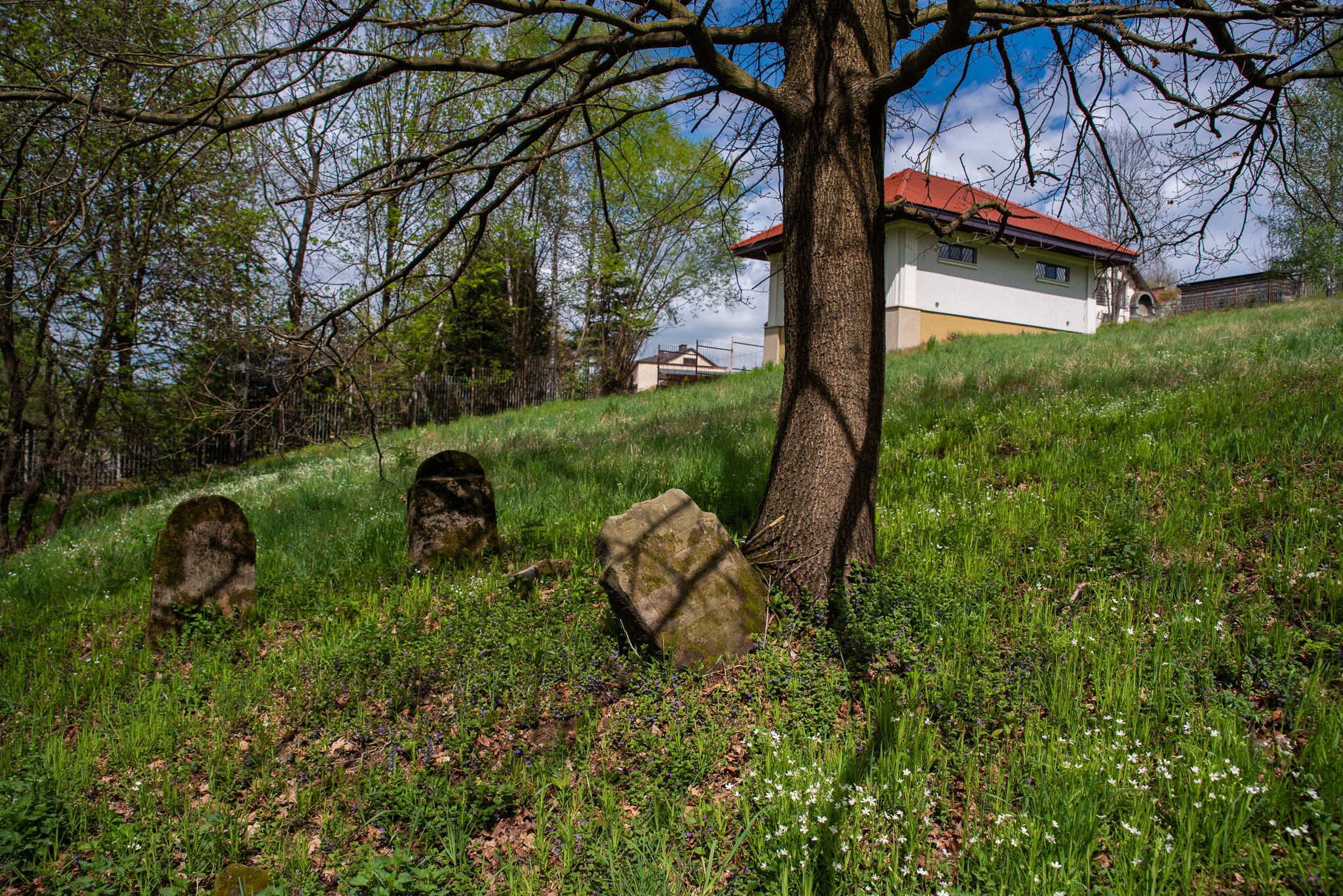 Widok na Cmentarz żydowski przy ul. Stróżowskiej.