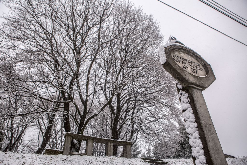 Widok na bramę Cmentarza z I Wojny Światowej nr 87.