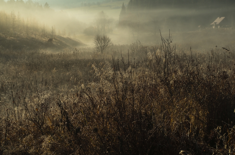 Widok na krajobraz Ziemi Gorlickiej.