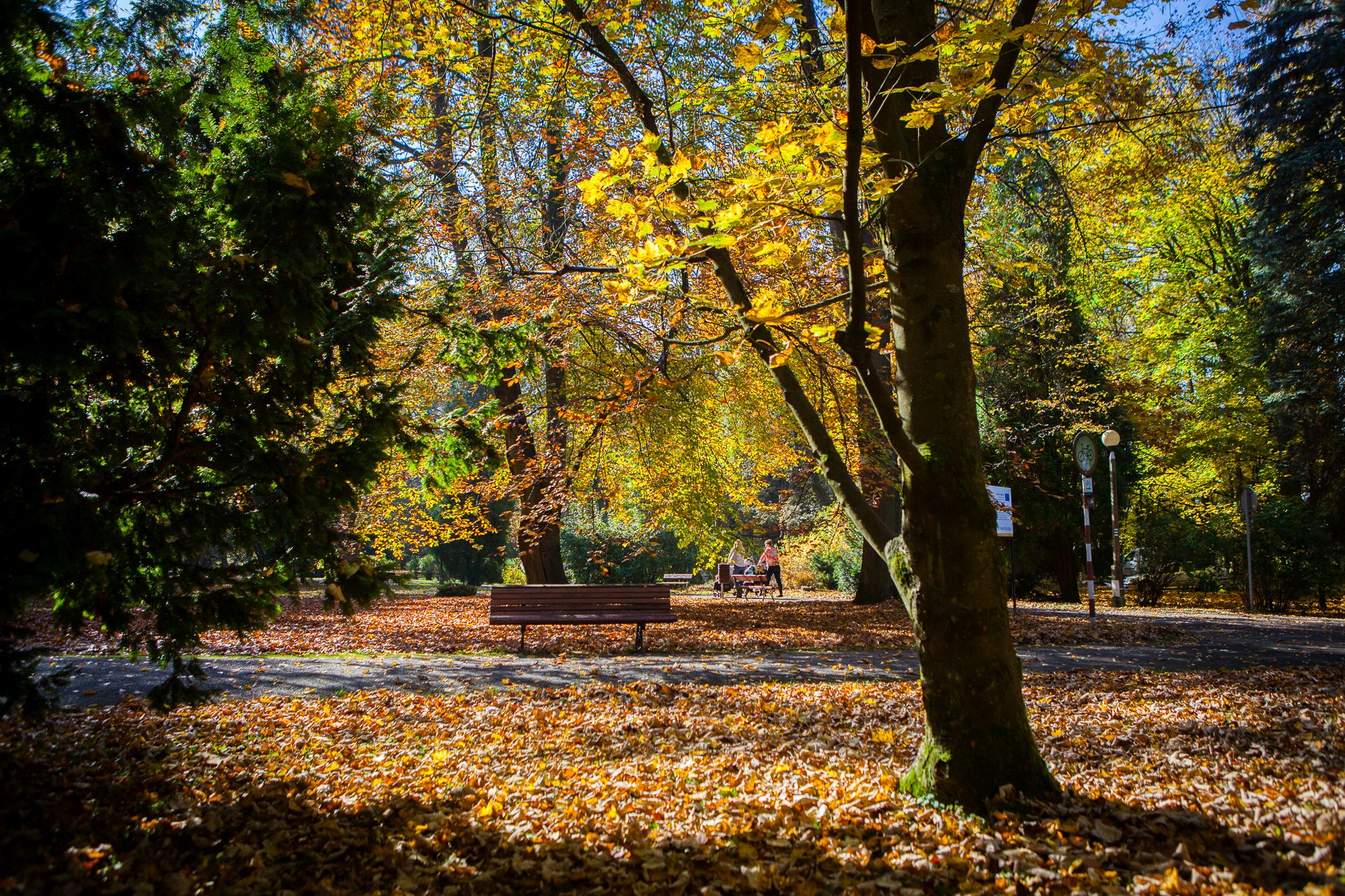 Jesienny Park Miejski w Gorlicach.