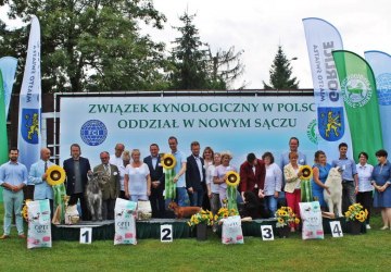 Za nami wystawy psów rasowych i myślwiskich