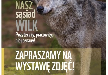 Wizerunek wilka na plakacie.
