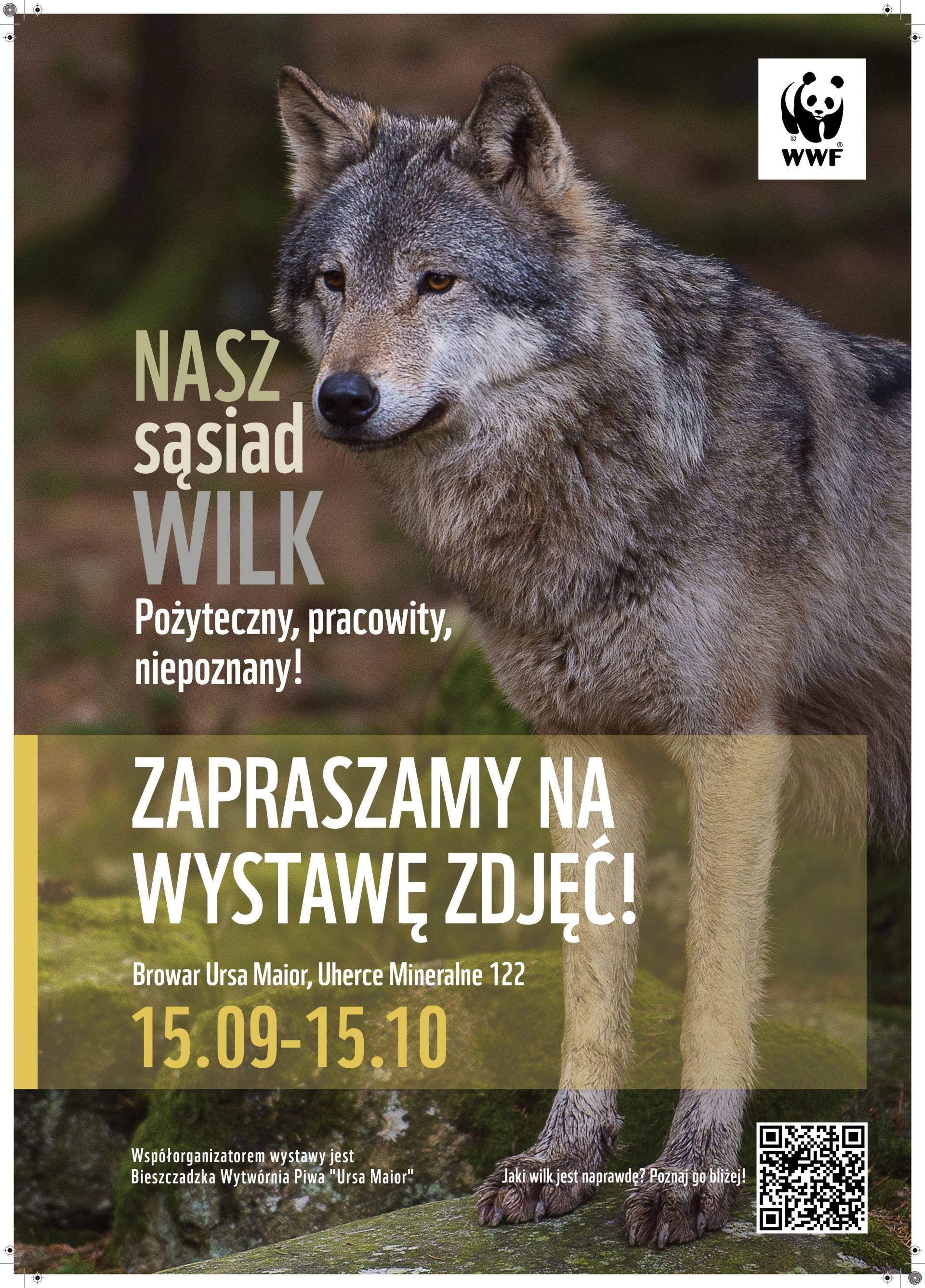 Wizerunek wilka na plakacie.