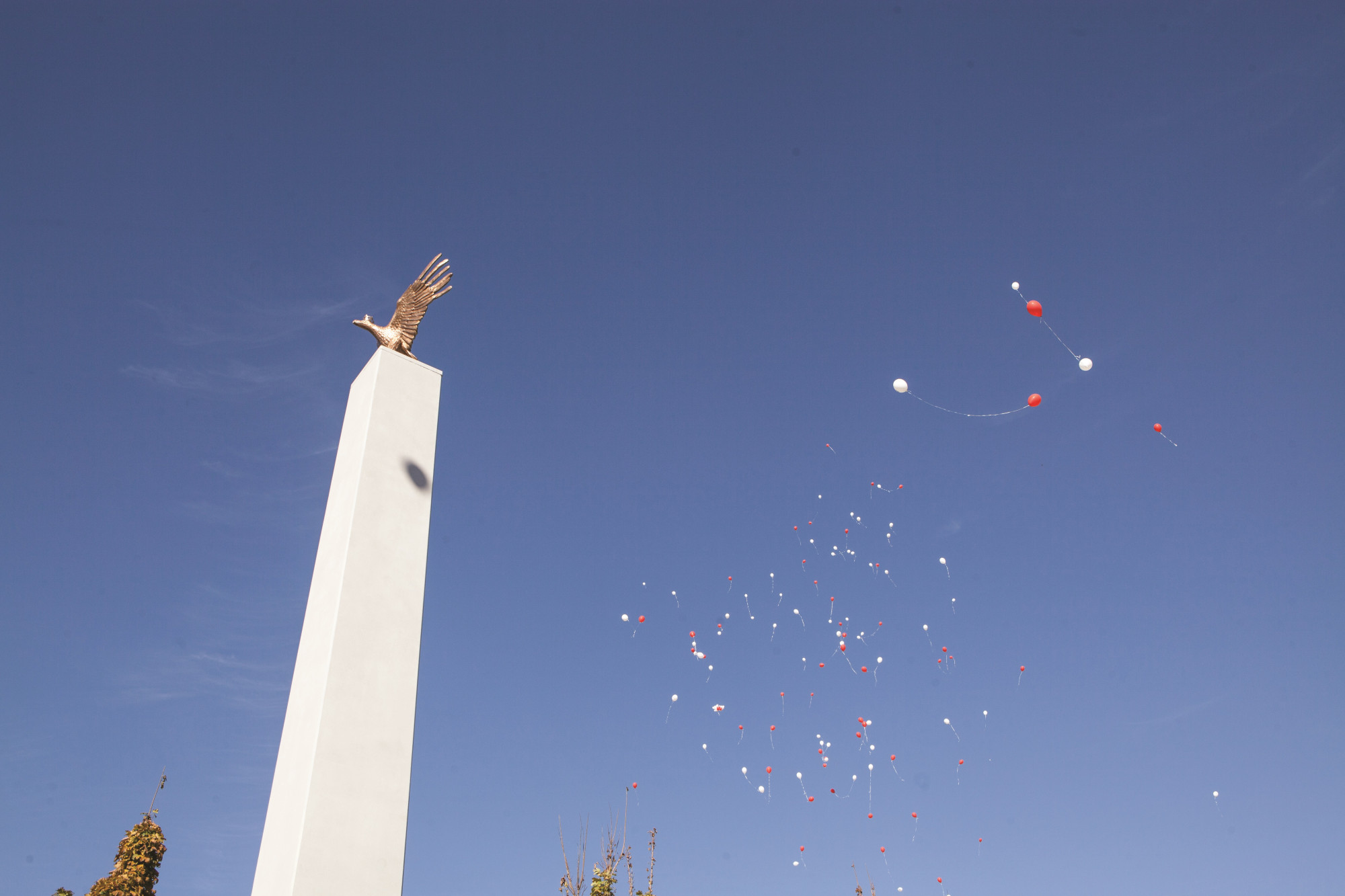 Obchody 101. rocznicy odzyskania Niepodległości pod pomnikiem