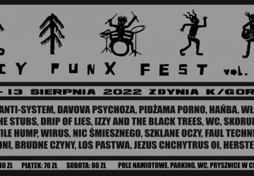 DIY PUNX FEST II - Zdynia