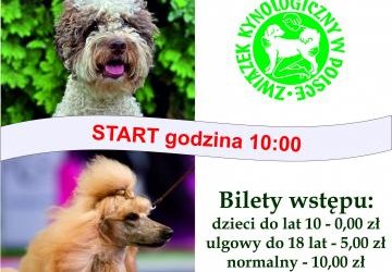 Krajowa Wystawa Psów Rasowych w Gorlicach!