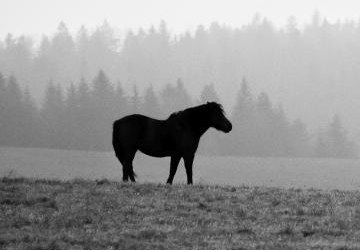 Wystawa fotograficzna „Spotkaliśmy się…”