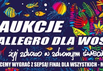 Wystartowały aukcje gorlickiego sztabu WOŚP!