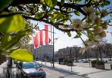 Gorlicki Rynek udekorowany w biało-czerwone barwy.