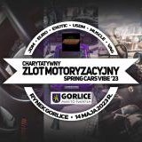 Spring Cars Vibe na gorlickim Rynku – charytatywnie dla Olci!