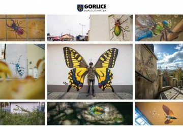 Kolaż wszystkich murali z owadami w Gorlicach.