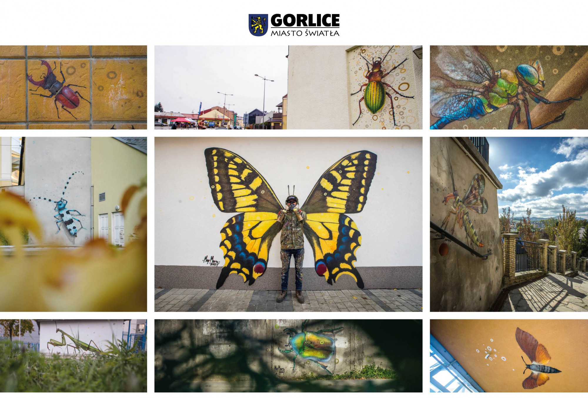 Kolaż wszystkich murali z owadami w Gorlicach.