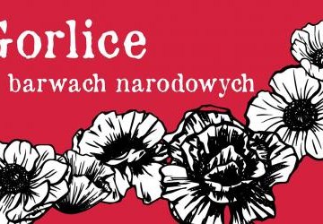 Białe kwiaty i napis Gorlice w barwach narodowych na czerwonym tle.