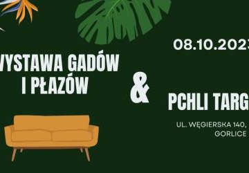 Pchli Targ i wystawa gadów i płazów w Pałacu Długoszów