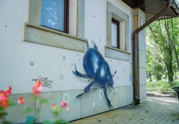 mural przedstawiający żuka gnojowego na ścianie szalet w Parku Miejskim