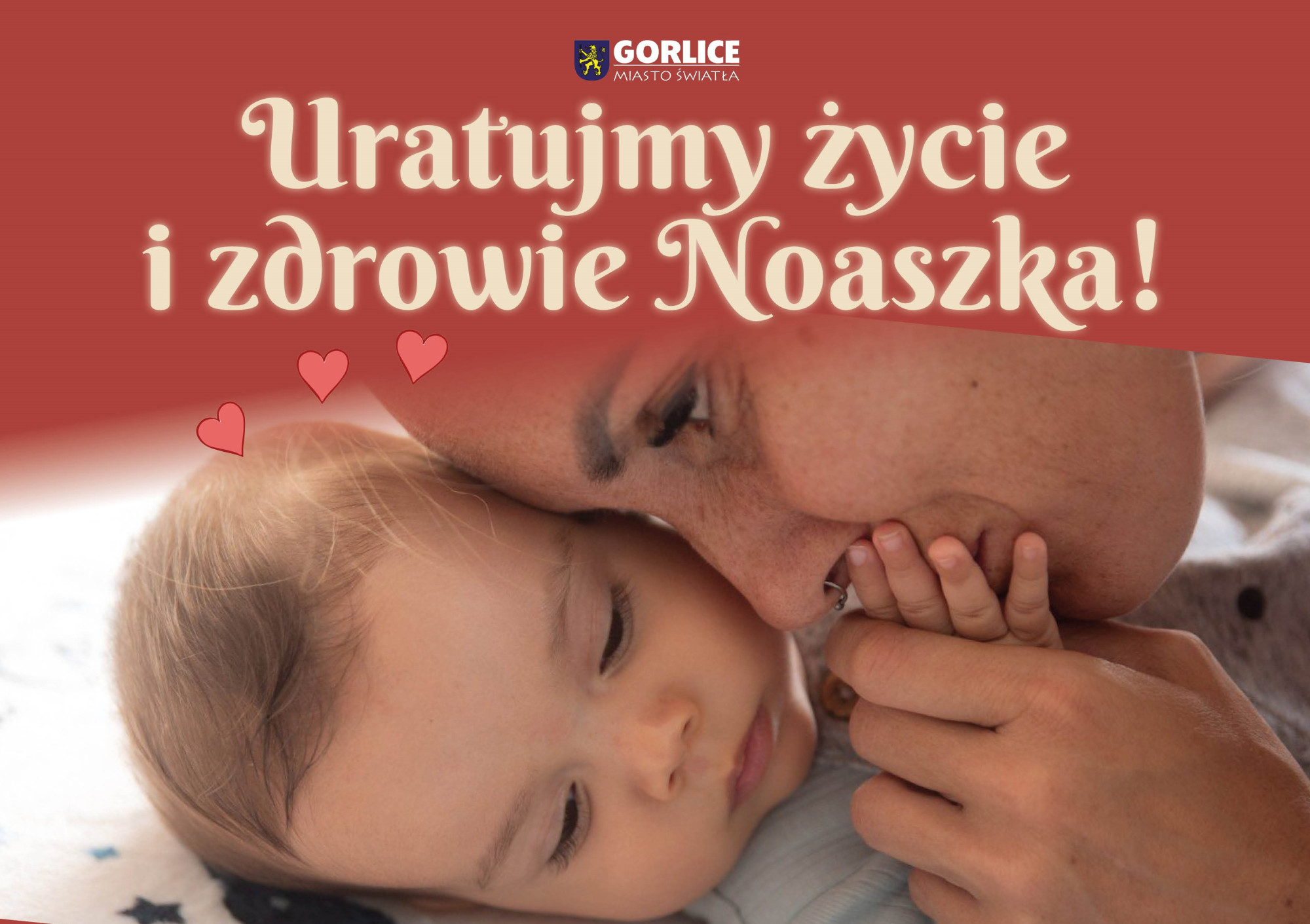 Uratujmy życie i zdrowie Noaszka!