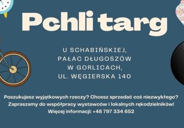 Zbliża się kolejny Pchli Targ w Pałacu Długoszów