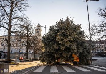 Pierwszy zwiastun nadchodzących świąt!