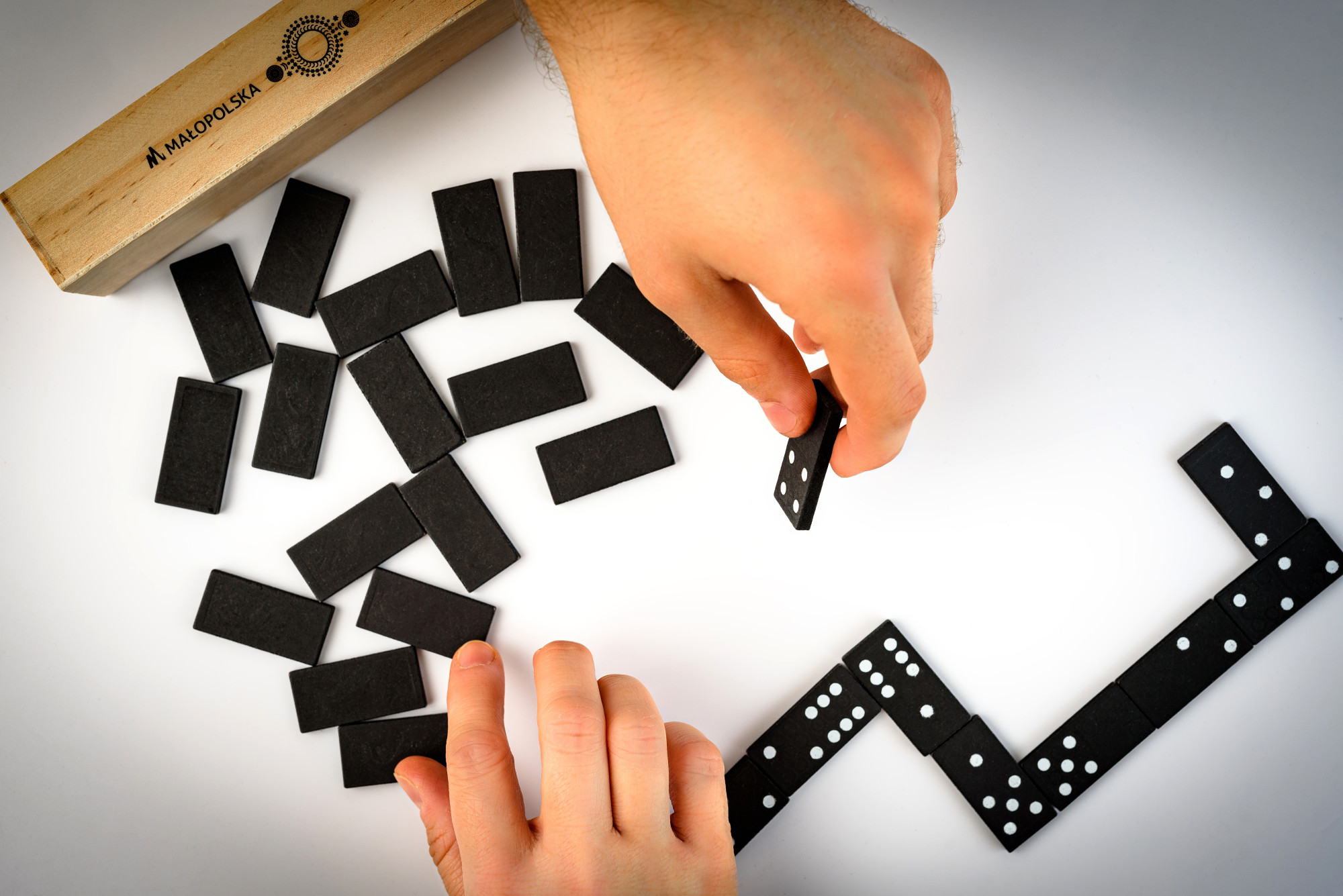 Domino i logo Małopolski.