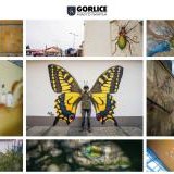 „Gorlicki świat owadów” z dofinansowaniem!