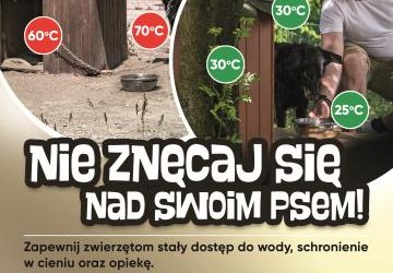 plakat kampanii