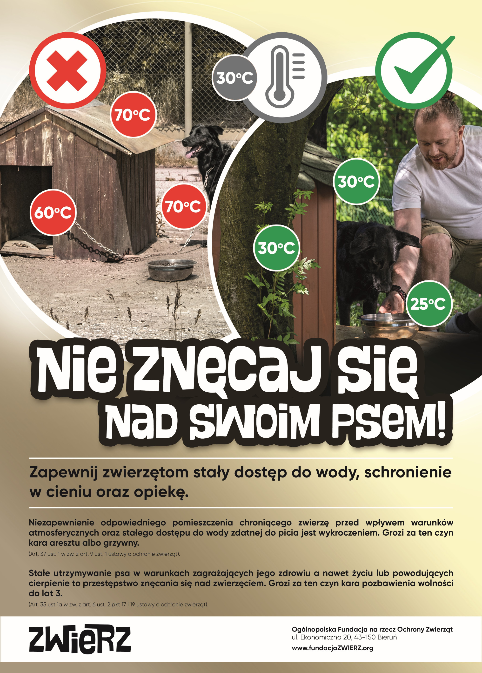 plakat kampanii